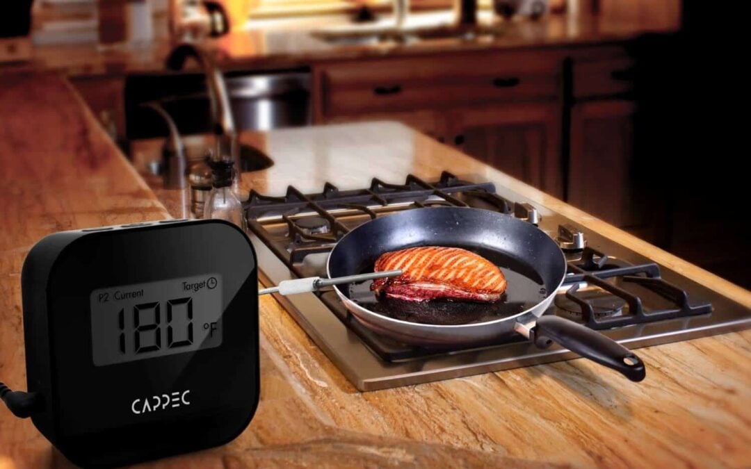 Cappec Bluetooth BBQ Thermometer Review & Giveaway