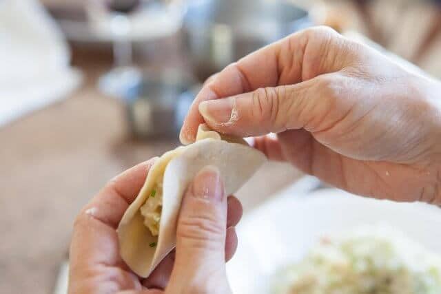 folding potsticker dumpling part 3