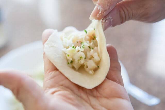 folding potsticker dumpling part 1