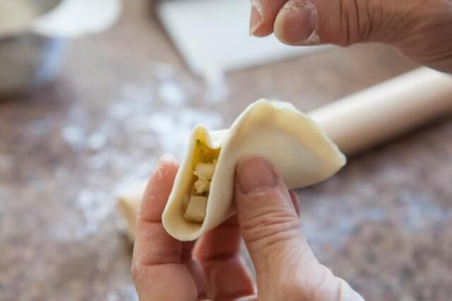 folding potsticker dumpling part 6