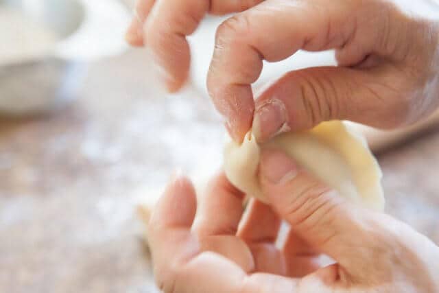 folding potsticker dumpling part 8