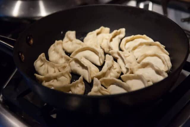 potsticker dumplings in pan