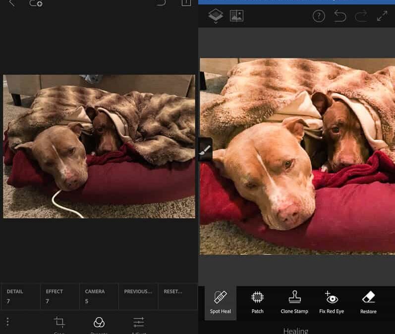 Adobe Photoshop Fix and Lightroom for Mobile