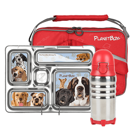 planetbox lunch box review 1