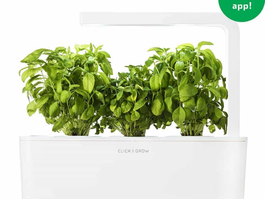 Click & Grow Review & Giveaway