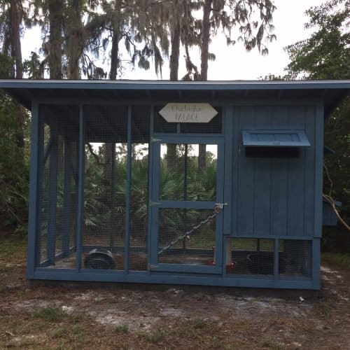 Chicken Coop Pictures From The Palace Chicken Coop Plans   IMG 8778 500x500 