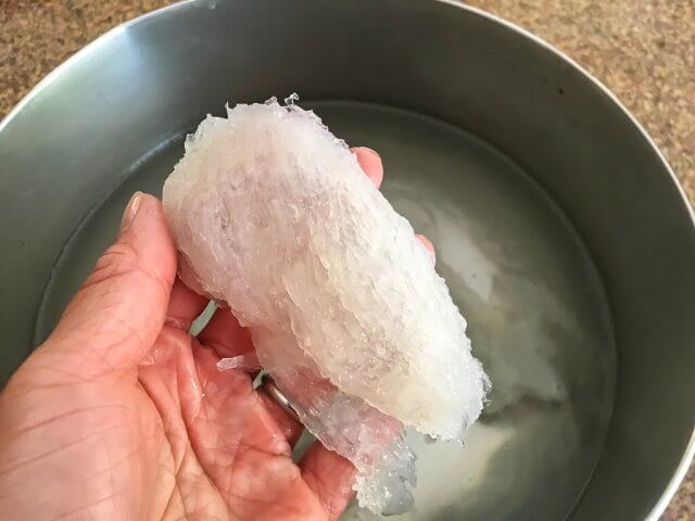 hand holding bird's nest