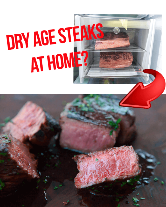 Dry-Age Steaks at Home with SteakAger #MegaChristmas21 - Mom Does Reviews