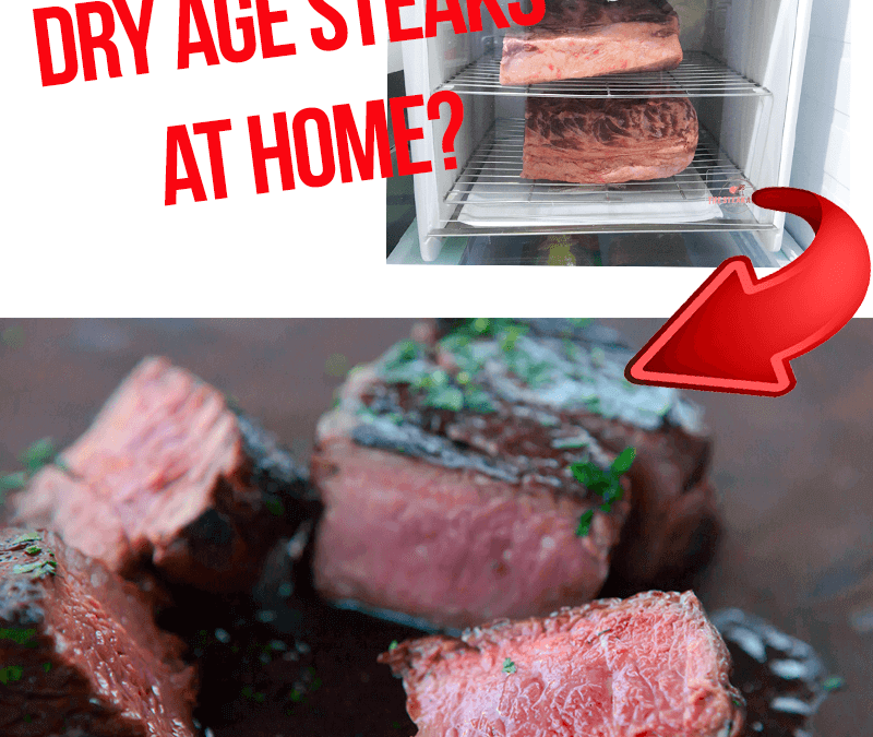 SteakAger Review & Giveaway