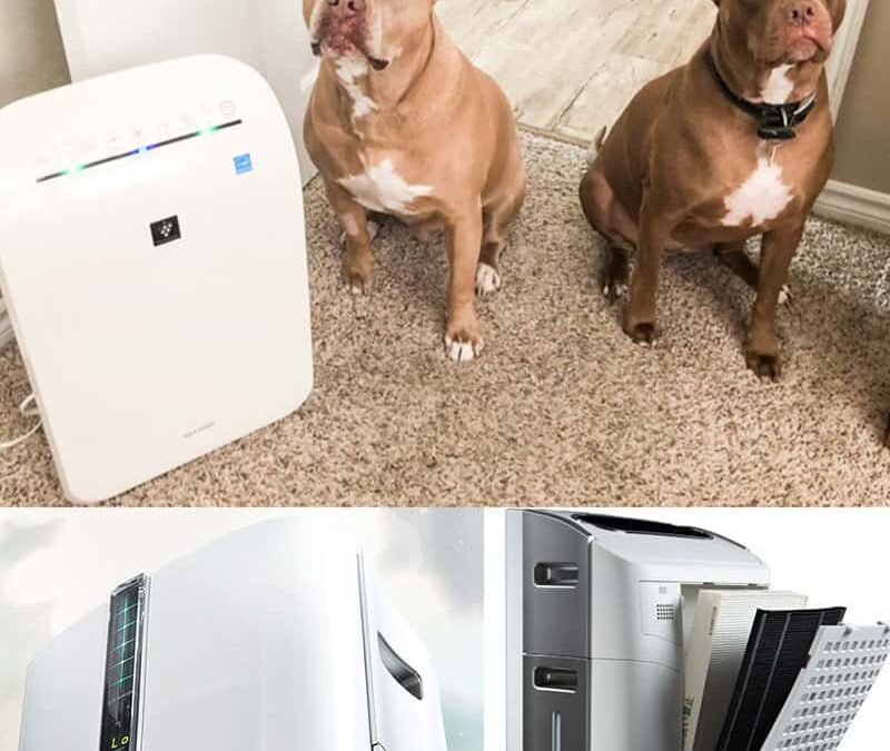 Better sleep and cleaner air with Sharp Air Purifier Review & Giveaway