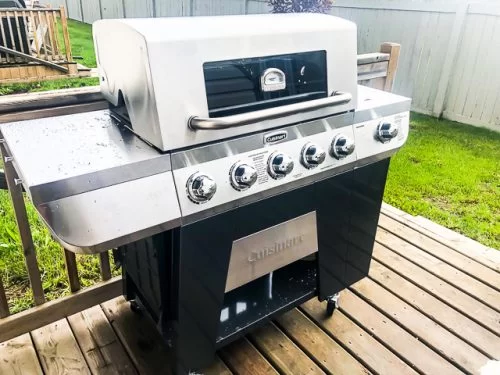 3-in-1 Stainless Five Burner Gas Grill
