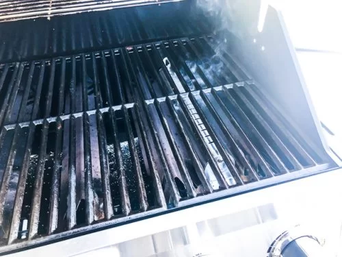 https://steamykitchen.com/wp-content/uploads/2019/07/cuisinart-3-in-1-grill-review_7371-500x375.jpg.webp