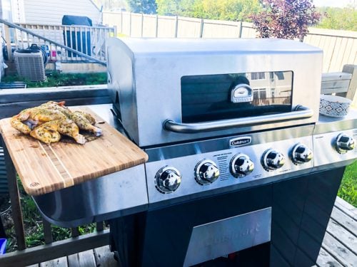 tetraëder Blaast op handelaar Cuisinart 3-in-1 Stainless Gas Grill Review & Giveaway • Steamy Kitchen  Recipes Giveaways