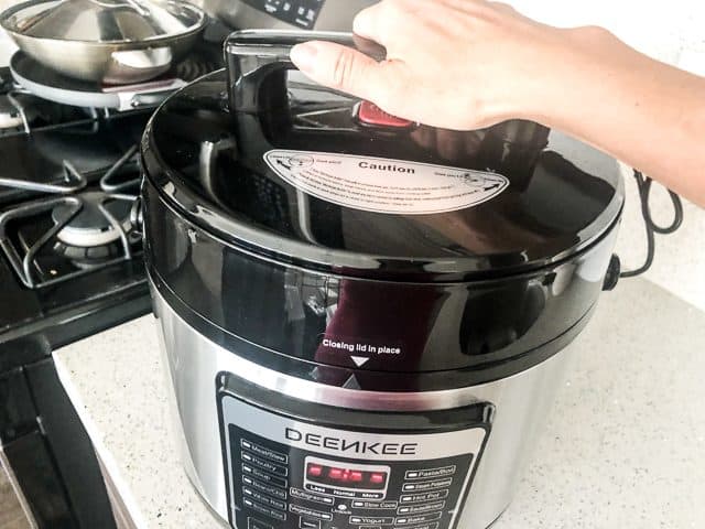 Deenkee Pressure Cooker Review  Giveaway • Steamy Kitchen Recipes