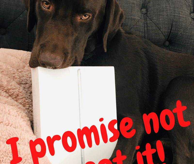 Apple iPad Giveaway