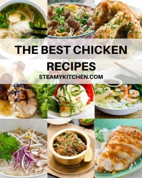 https://steamykitchen.com/wp-content/uploads/2020/03/chicken-Recipes-feature-500x625.jpg.webp