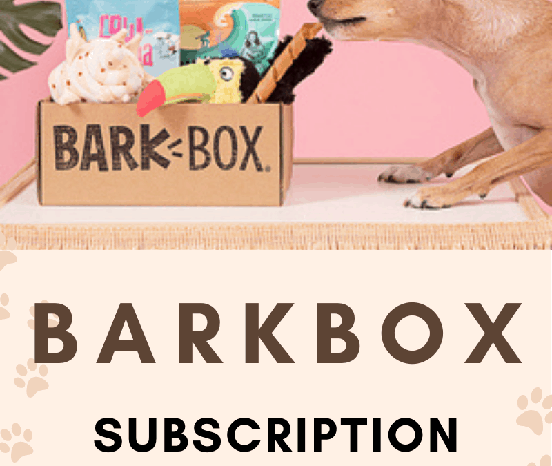 BarkBox Subscription Giveaway