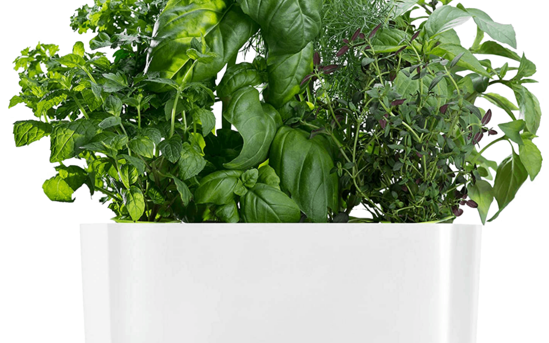 AeroGarden Indoor Herb Garden Giveaway