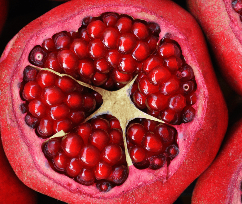 Pomegranate Seed Basics