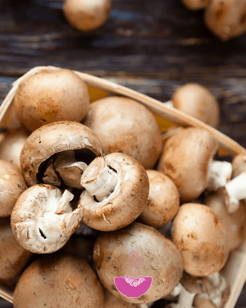Mushroom Basics