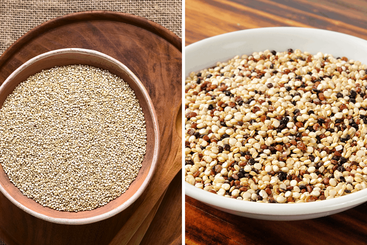 white vs rainbow quinoa - how to cook quinoa in a pressure cooker