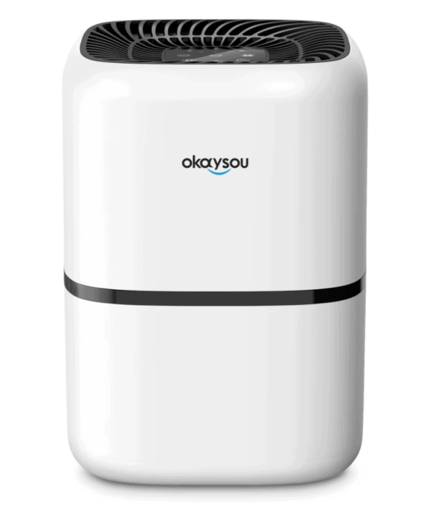 Okaysou Air Purifier Review and Giveaway