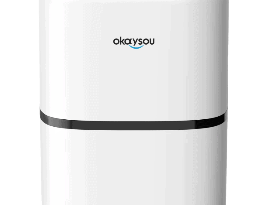 Okaysou Air Purifier Review and Giveaway