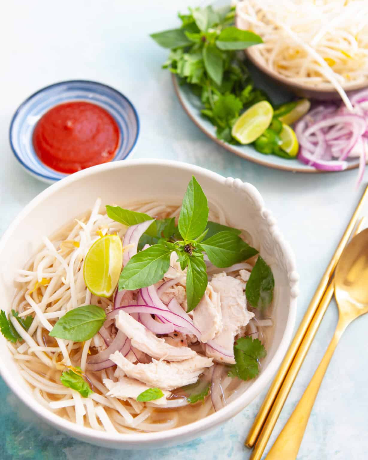 Vietnamese Turkey Pho Recipe (Using Leftover Turkey Bones!) • Steamy ...