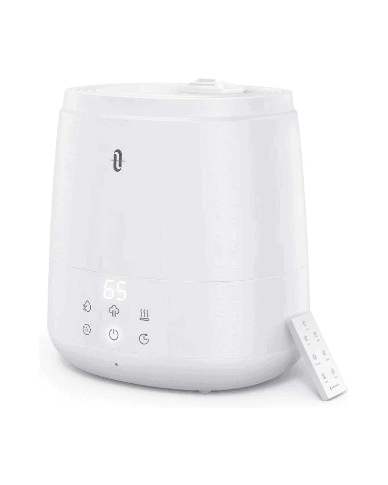 TaoTronics Humidifier Review and Giveaway • Steamy Kitchen Recipes