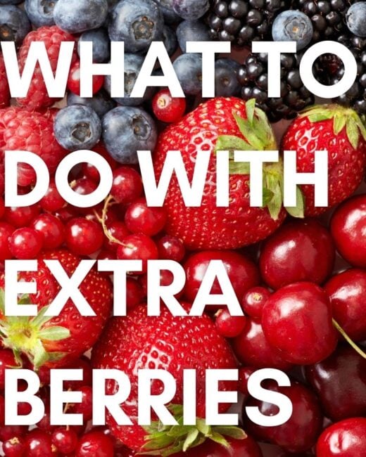 What to do with Extra Berries