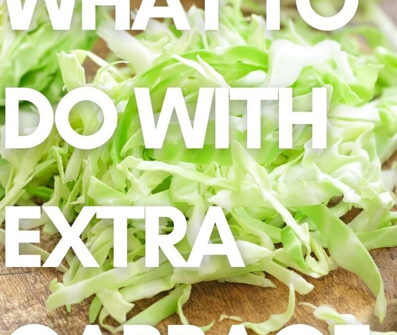 What to do with Extra Cabbage
