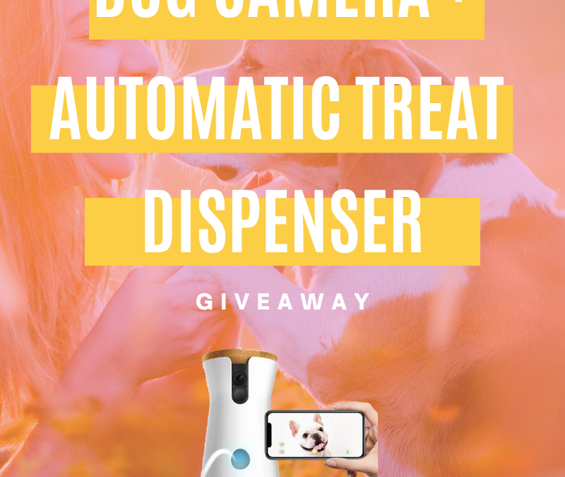 Furbo Dog Camera + Automatic Treat Dispenser Giveaway