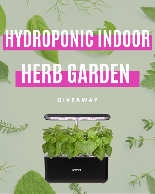 Hydroponic Indoor Herb Garden Giveaway Steamy Kitchen Recipes Giveaways