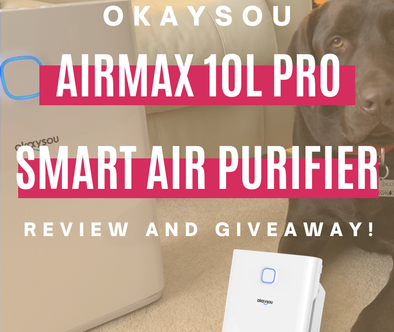 Okaysou AirMax10L Pro Smart Air Purifier Review and Giveaway