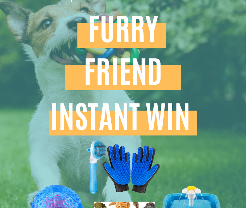 Furry Friend Instant Win