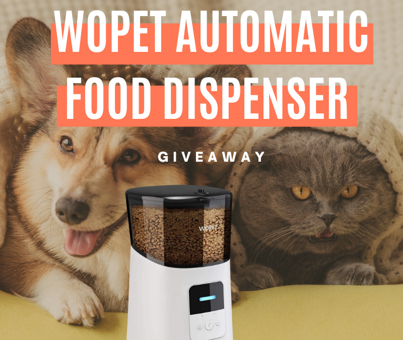 WOPET Automatic Food Dispenser Giveaway