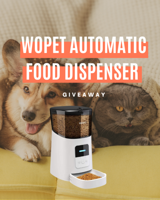 WOPET Smart Pet Camera and Treat Dispenser Giveaway • Steamy Kitchen  Recipes Giveaways