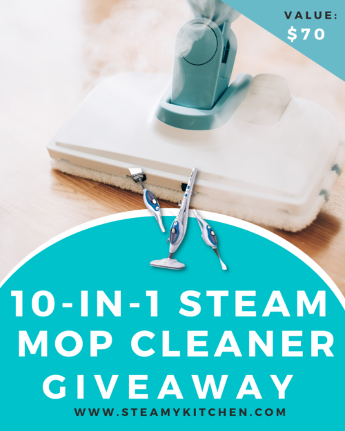 10-in-1 Steam Mop Cleaner Giveaway