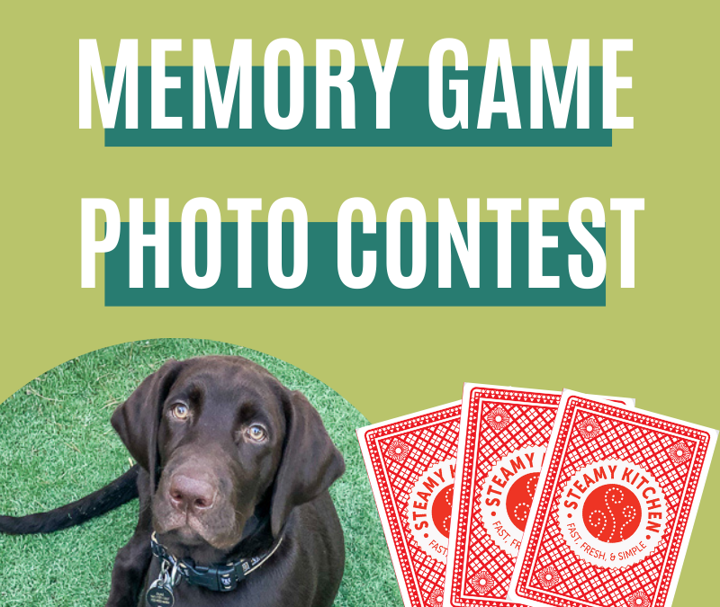 Furry Friends Memory Game Photo Contest!