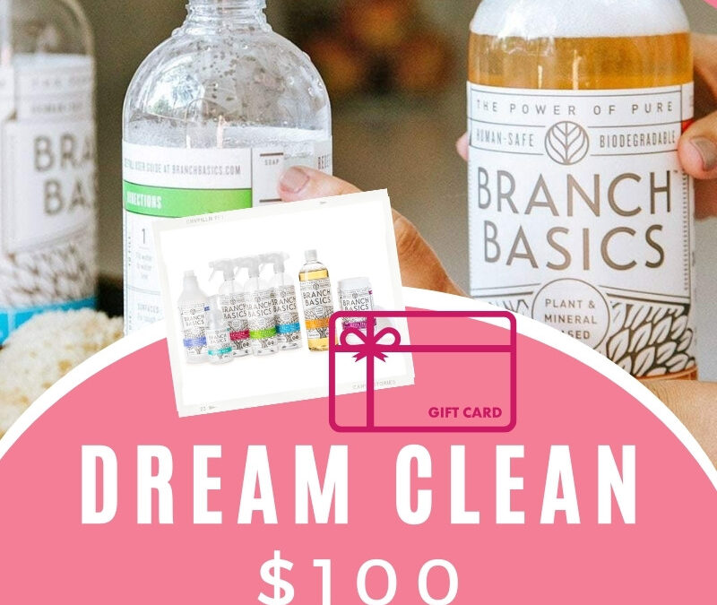 Dream Clean $100 Home Cleaning Bundle!