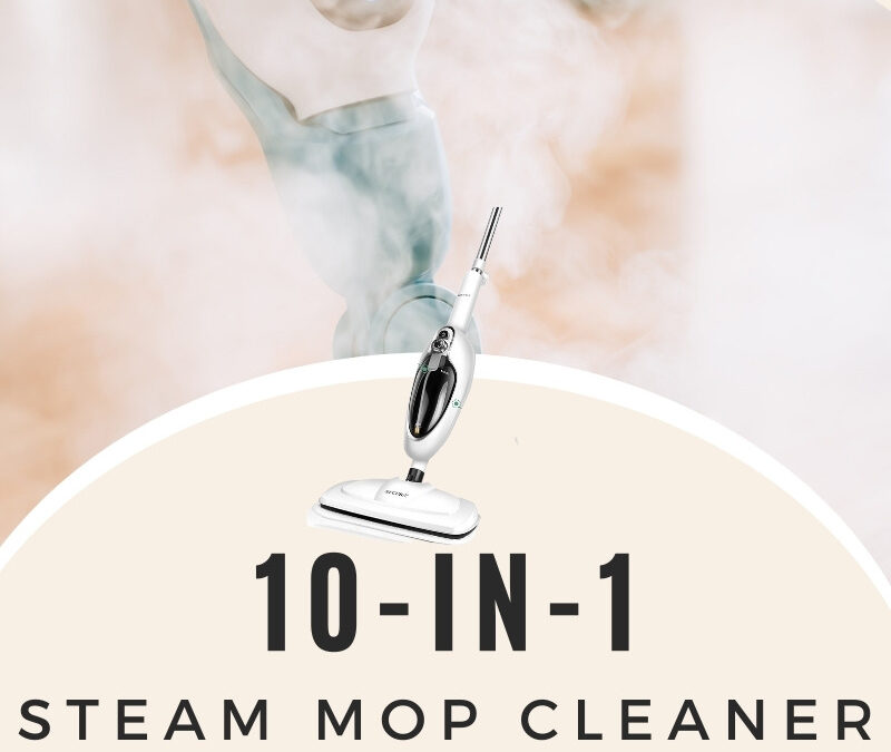 10-in-1 Steam Cleaner Giveaway