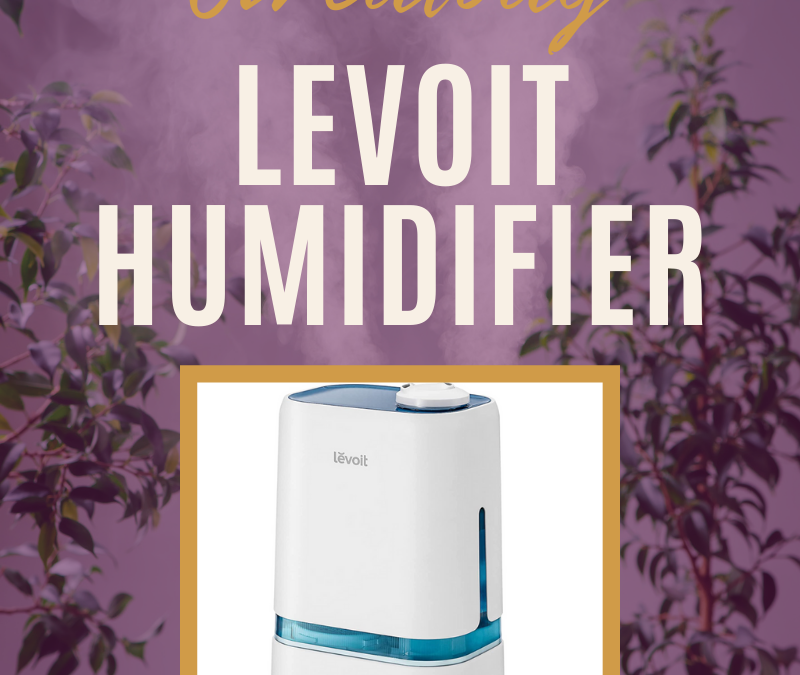 LEVOIT Humidifier Giveaway