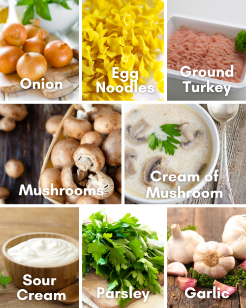 Ingredients for Healthy Turkey Stroganoff Recipe