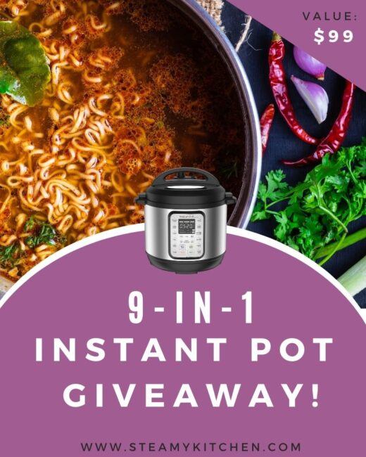  Instant Pot Duo Plus 9-in-1 Electric Pressure Cooker Giveaway 
