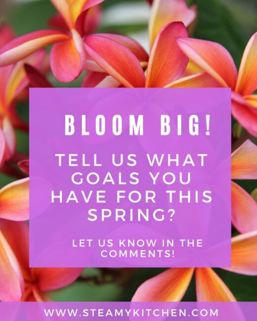 Bloom Big! Tell us your goal for spring 