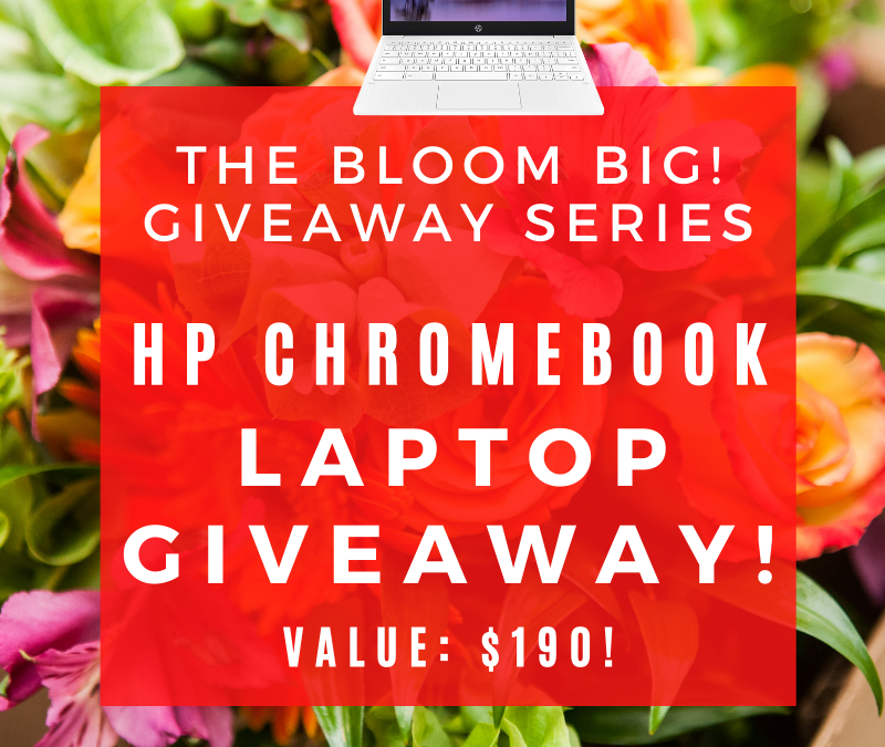 Bloom Big: HP Chromebook 11-Inch Laptop Giveaway