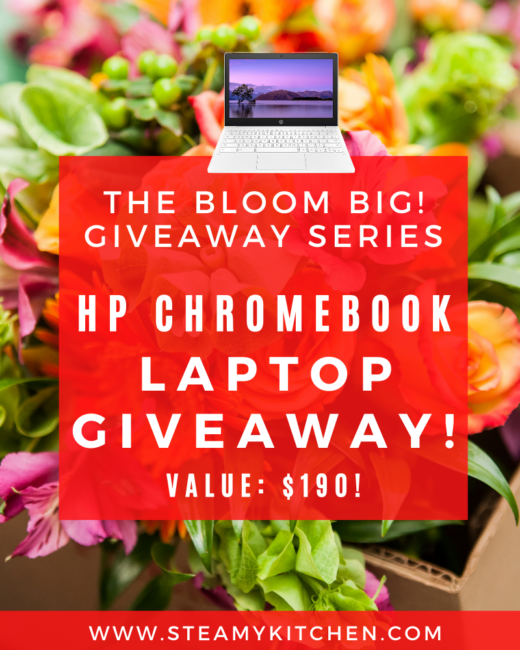 Bloom Big: HP Chromebook 11-Inch Laptop Giveaway