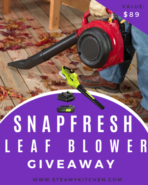 SnapFresh Leaf Blower Giveaway