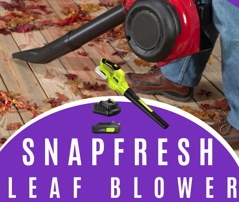 SnapFresh Leaf Blower Giveaway