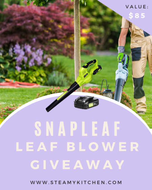 SnapFresh Leaf Blower GiveawayEnds in 75 days.